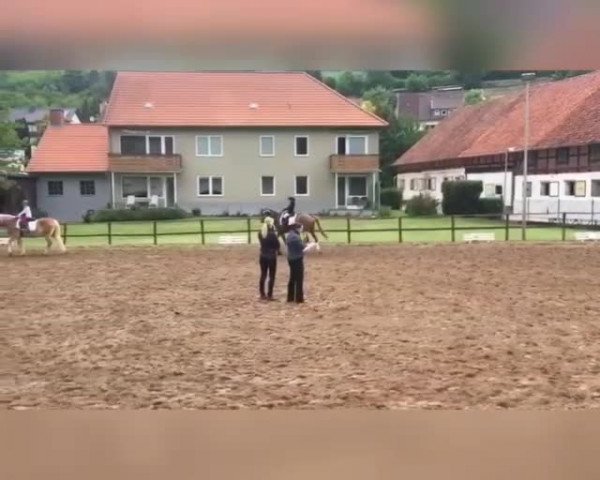 Vidéo de Pretty Girl 48