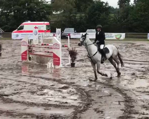 Reitturnier Hude 2019