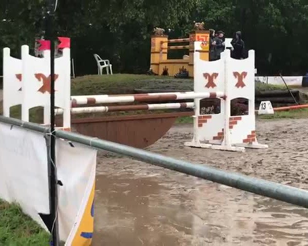 Reitturnier Hude 2019
