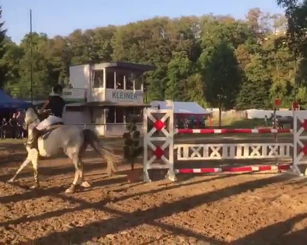Video von Con Corrada 2
