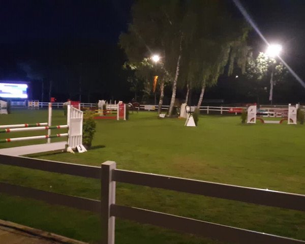 Reitturnier Ostbevern 2019