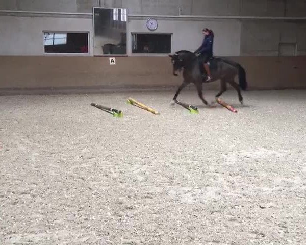 Video of Elvis