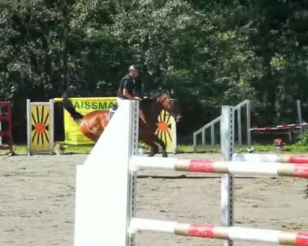 Reitturnier Tettnang 2019