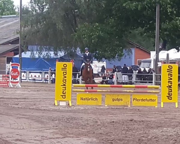 Reitturnier Mettingen 2019