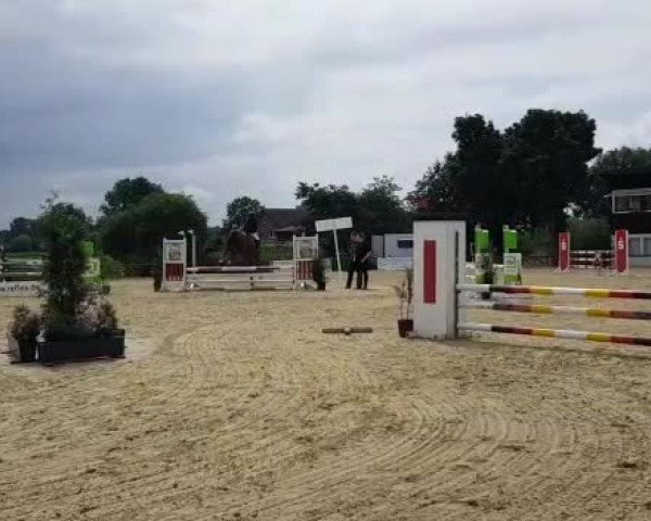 Reitturnier Enniger-Vorhelm 2019