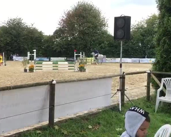 Reitturnier Nettetal-Lobberich- Sittard 2019