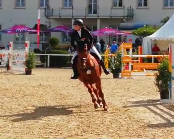Video of Buderus