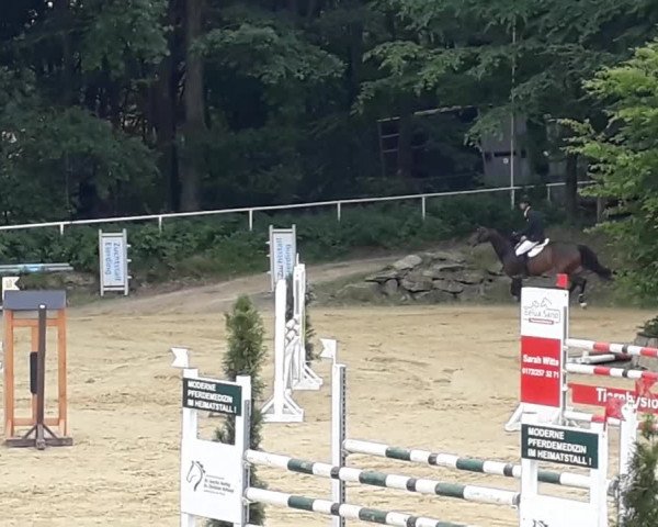 Video of Candy 696