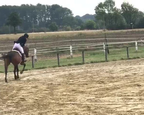 Video von Coco
