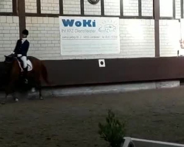 Video of Fuego 139