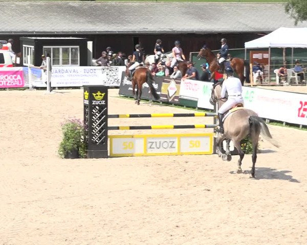  HC Ritt CS Zuoz 2019