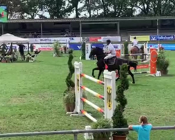 Reitturnier Elmlohe 2019