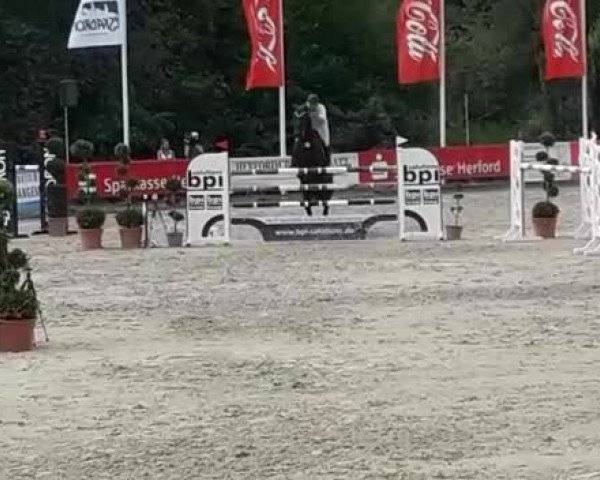 Reitturnier Herford-Bexter Hof 2019