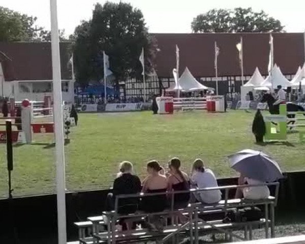 Reitturnier Herford-Bexter Hof 2019