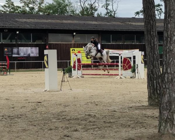 Video of Claudius Rex