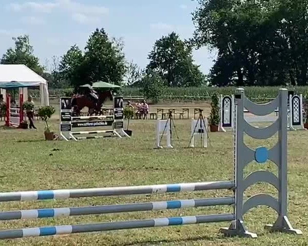 Video of For Attention