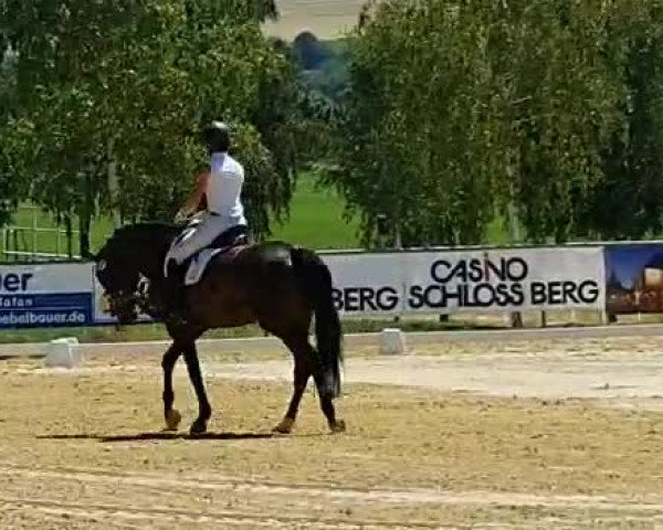 Video of Sir Magic 3