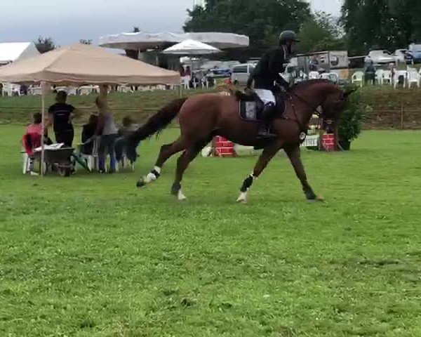 Video di Centurion Z