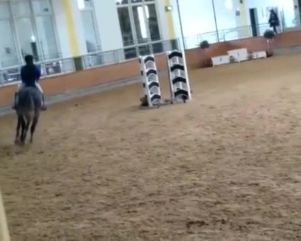 Video of Django Unchained