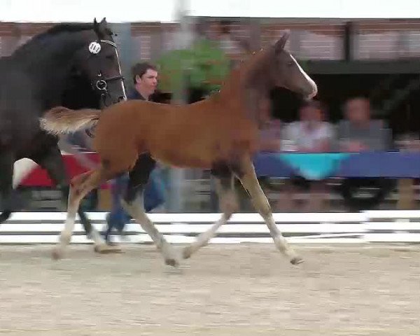 Video von Sir Roadster
