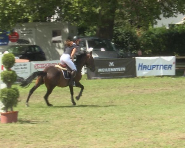 HC Ritt Langethal 2019