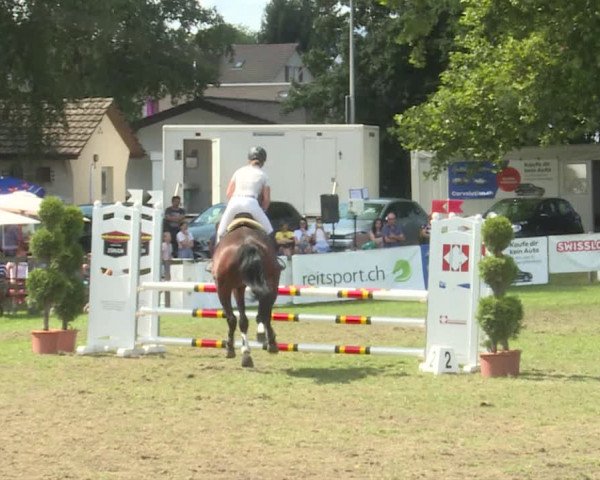 HC Ritt Langethal 2019