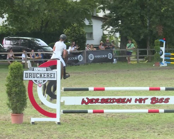 HC Ritt Langethal 2019