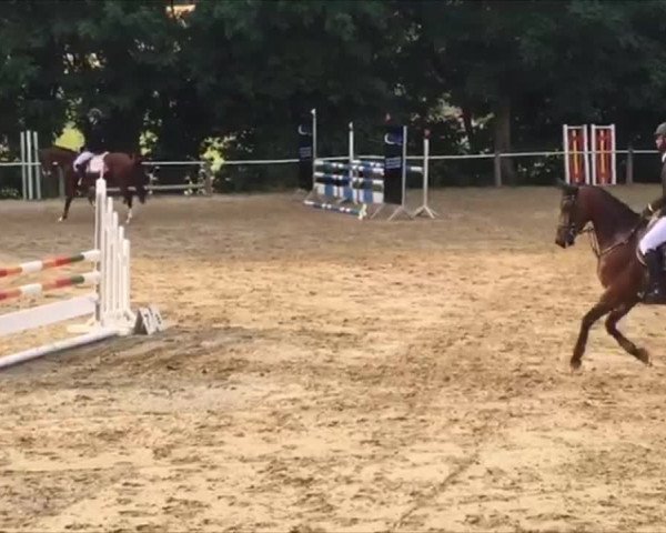 Reitturnier Fränkisch-Crumbach 2019