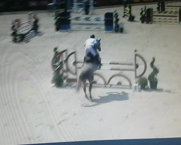 Video of Calasca 4