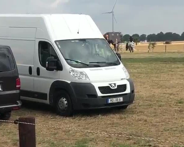 Video von Maranello D