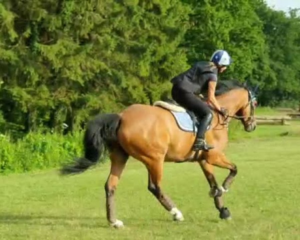 Video of Cherundolo FF