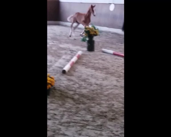 Video of Keep Power R