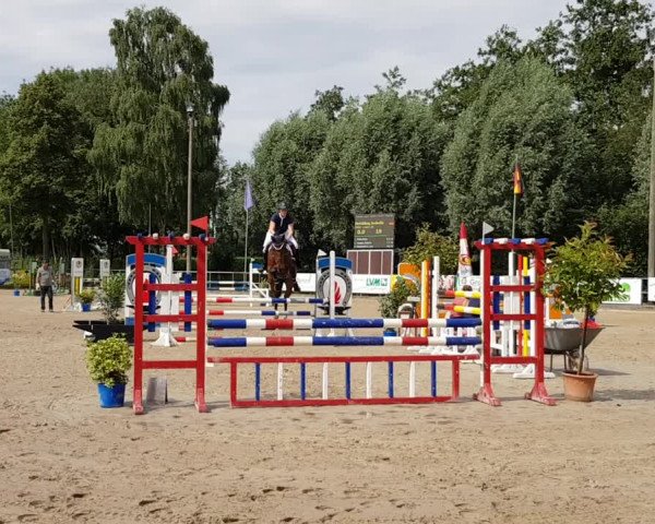 Reitturnier Bösensell 2019