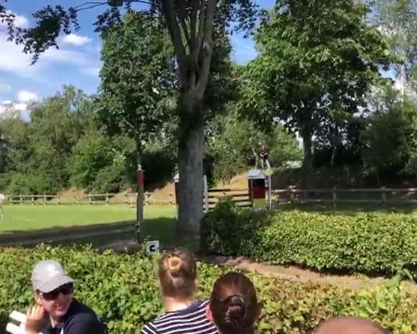 Video von Curly Sue 155