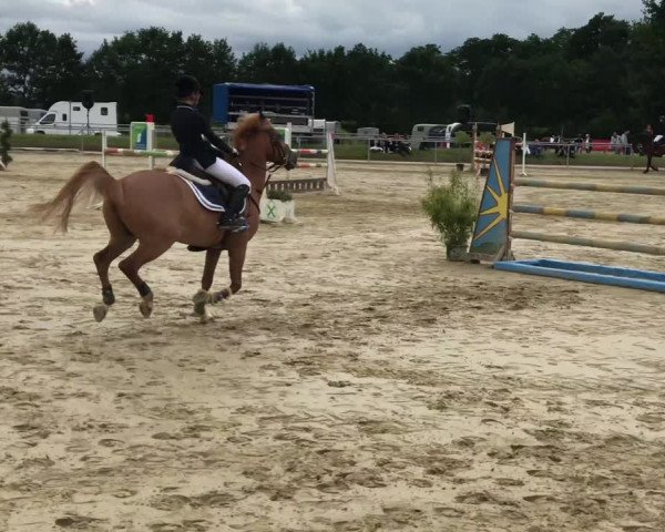 Reitturnier Dülmen 2019