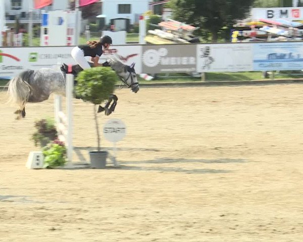 HC Springen Dagmersellen Juli 2019 (B70)