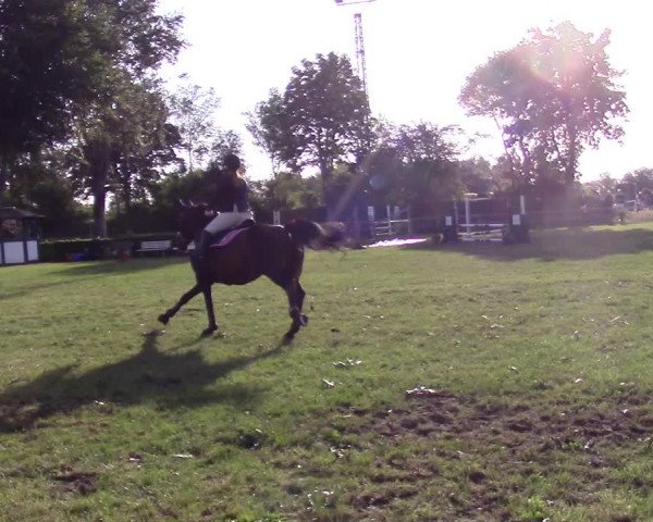 Reitturnier Filsum 2019