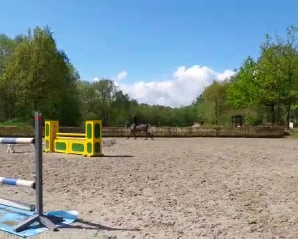 Video von Crusher 2