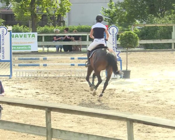 HC Ritt in Dagmersellen Juli 2019 (B70)