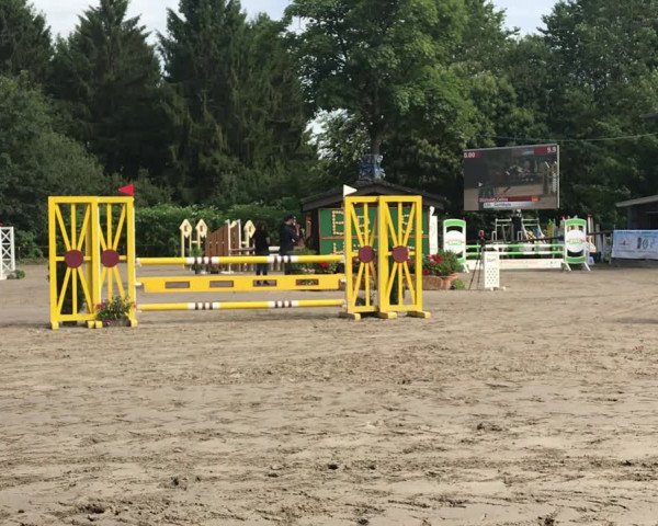 Reitturnier Marienheide-Kempershöhe 2019