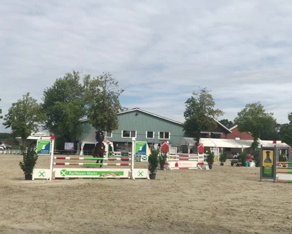 Reitturnier Senden 2019