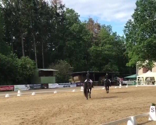 Video von Nea´s Doubai