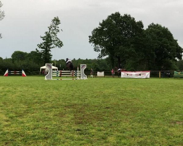 Reitturnier Postfeld/Nettelsee 2019