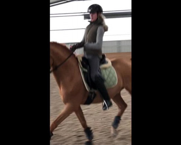 Video of Going Top