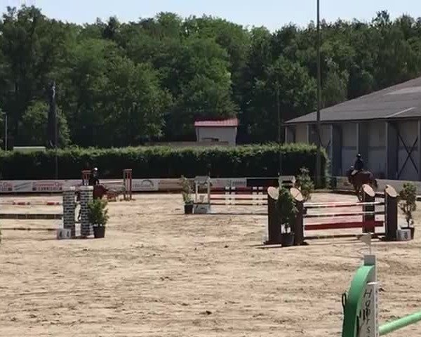 Video of Cassy 99