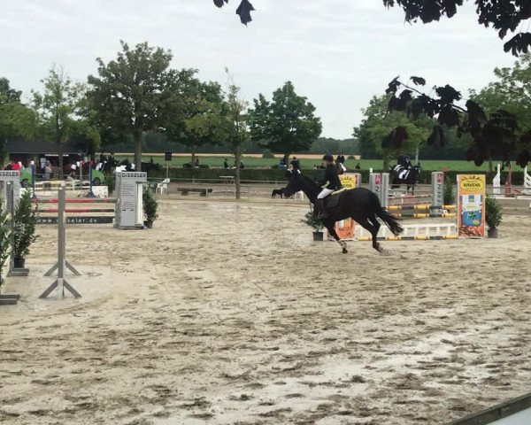 Reitturnier Senden 2019