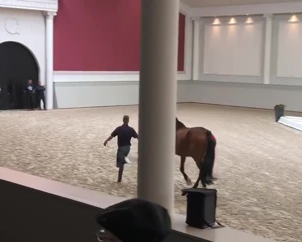 Video of Zak R
