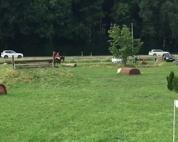 Video von Calimero 557