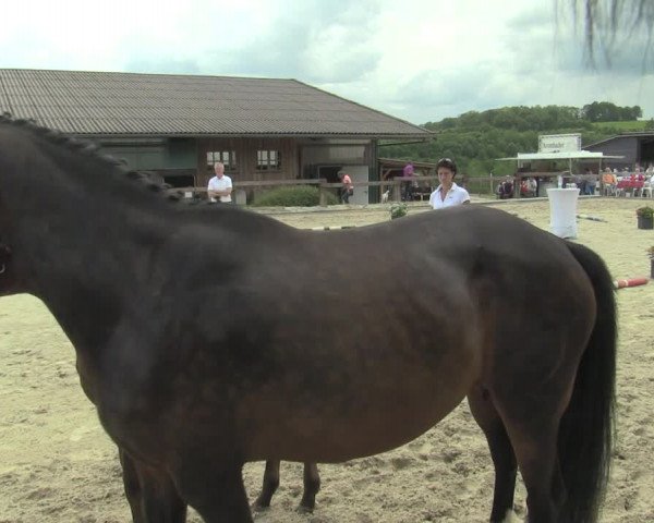 Video of Dynamite Girl