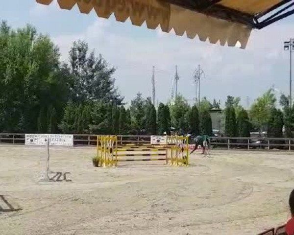 Video of Chavi